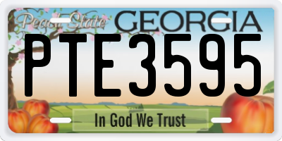 GA license plate PTE3595