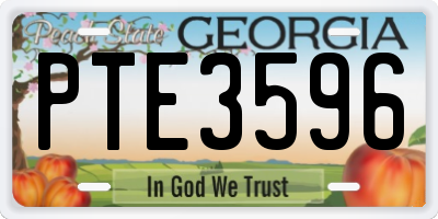 GA license plate PTE3596