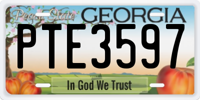 GA license plate PTE3597