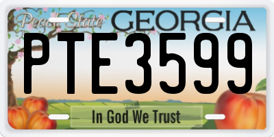 GA license plate PTE3599