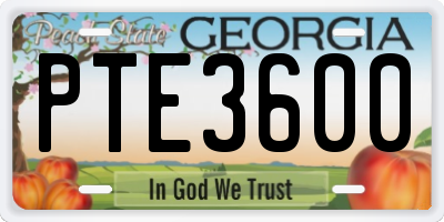 GA license plate PTE3600