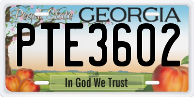 GA license plate PTE3602