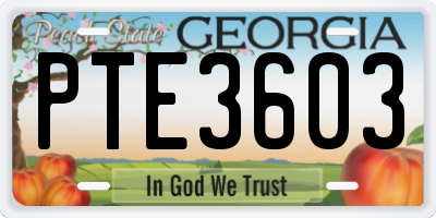 GA license plate PTE3603