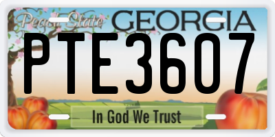 GA license plate PTE3607