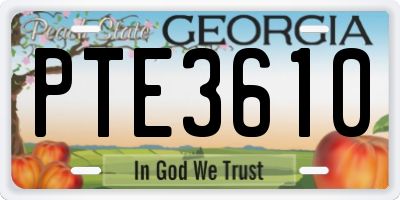 GA license plate PTE3610