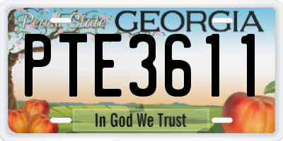 GA license plate PTE3611