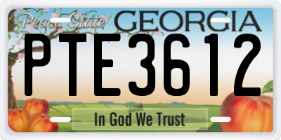 GA license plate PTE3612