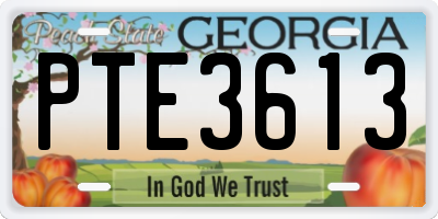 GA license plate PTE3613