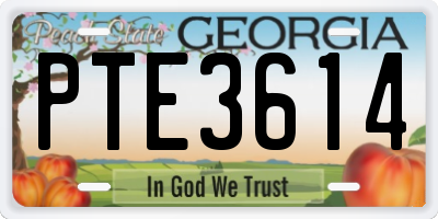 GA license plate PTE3614