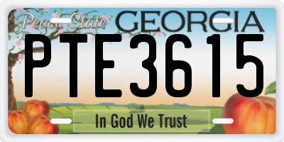 GA license plate PTE3615