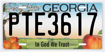 GA license plate PTE3617
