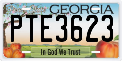 GA license plate PTE3623
