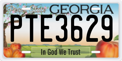 GA license plate PTE3629