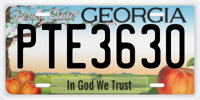 GA license plate PTE3630