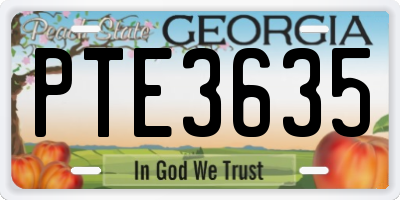 GA license plate PTE3635