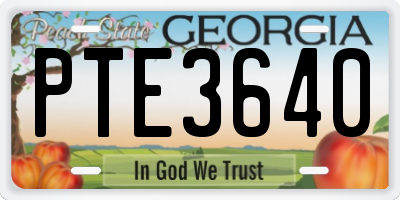 GA license plate PTE3640