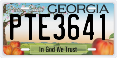GA license plate PTE3641