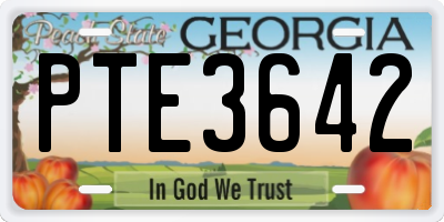 GA license plate PTE3642