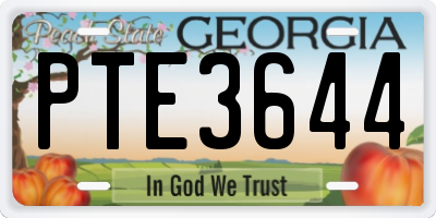GA license plate PTE3644