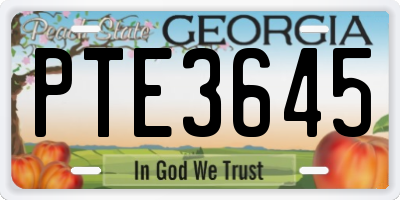 GA license plate PTE3645
