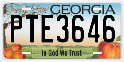GA license plate PTE3646