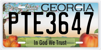 GA license plate PTE3647