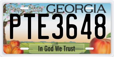 GA license plate PTE3648