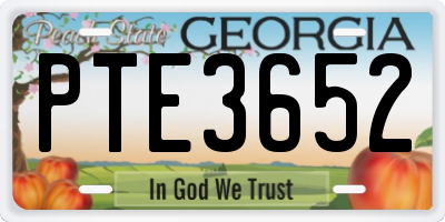 GA license plate PTE3652