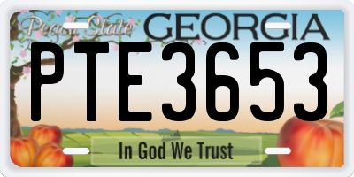 GA license plate PTE3653