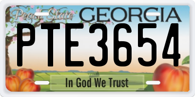 GA license plate PTE3654