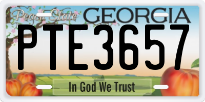 GA license plate PTE3657