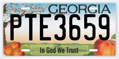 GA license plate PTE3659