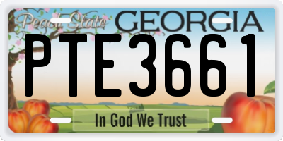 GA license plate PTE3661