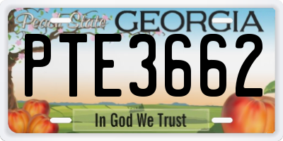 GA license plate PTE3662