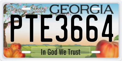 GA license plate PTE3664