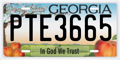 GA license plate PTE3665