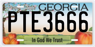GA license plate PTE3666