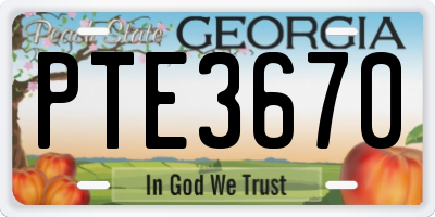 GA license plate PTE3670