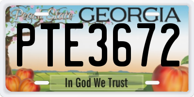 GA license plate PTE3672