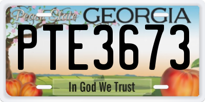 GA license plate PTE3673