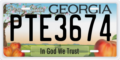 GA license plate PTE3674