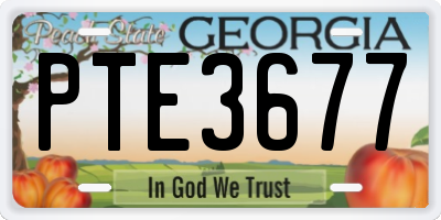 GA license plate PTE3677