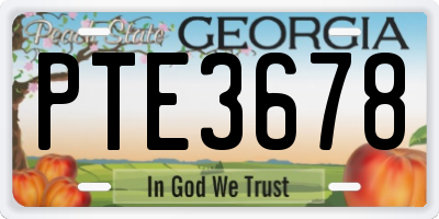 GA license plate PTE3678