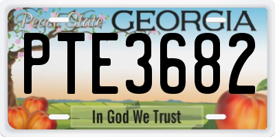GA license plate PTE3682