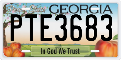 GA license plate PTE3683