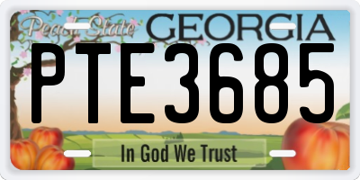 GA license plate PTE3685