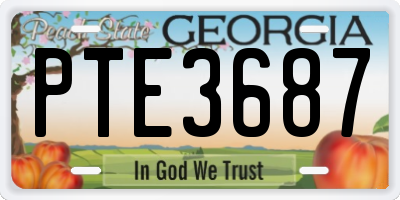 GA license plate PTE3687
