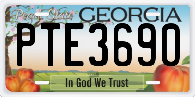 GA license plate PTE3690