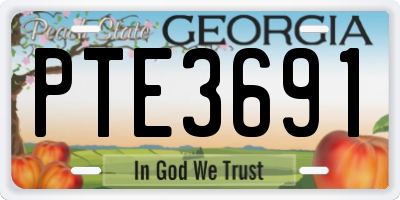 GA license plate PTE3691