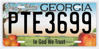 GA license plate PTE3699